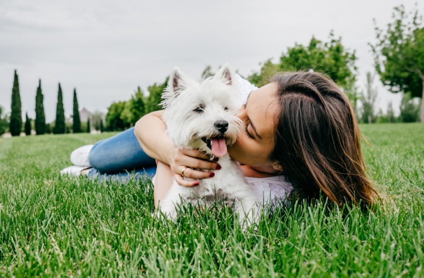 dog and owner on grass