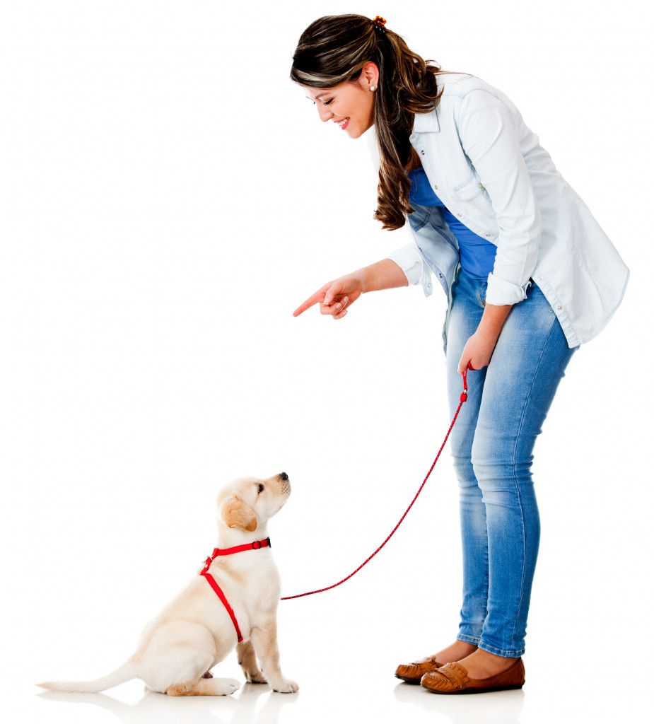 Young woman training her small dog