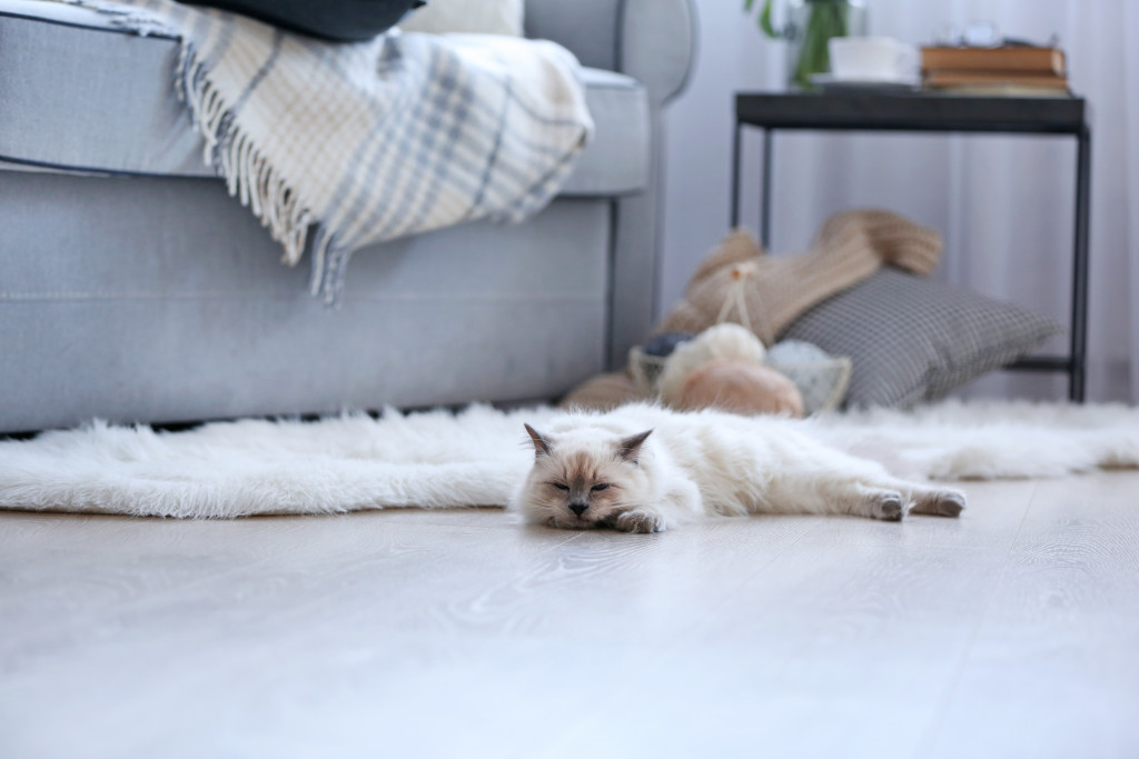 A cat sleeping comfortable on the floor of a living room