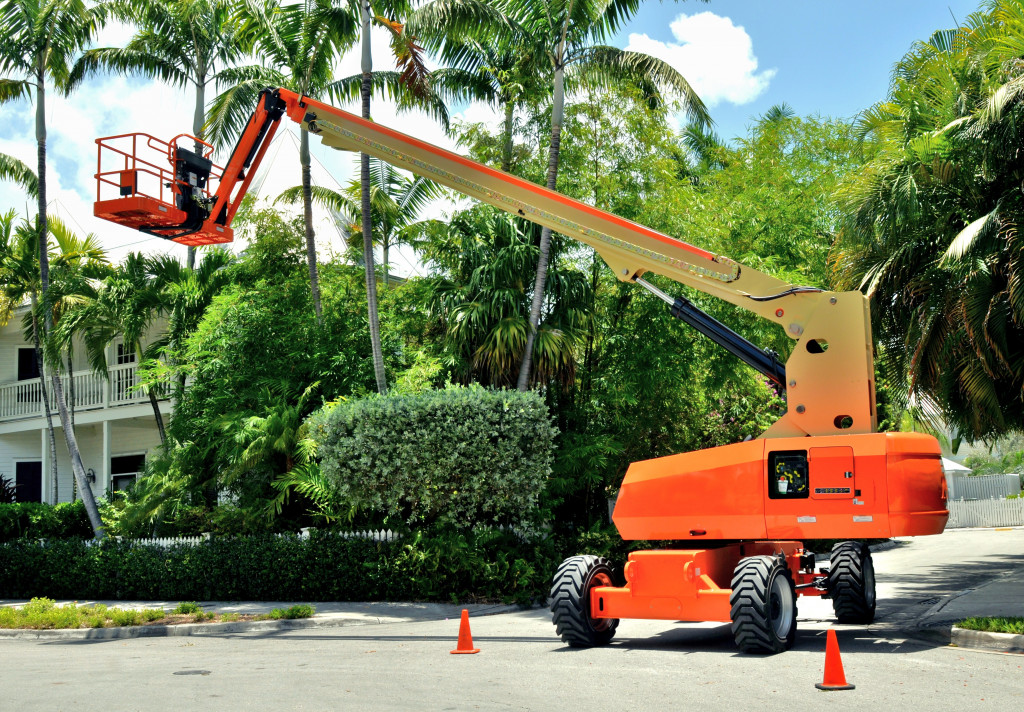 Industrial lift beside trees for pruning