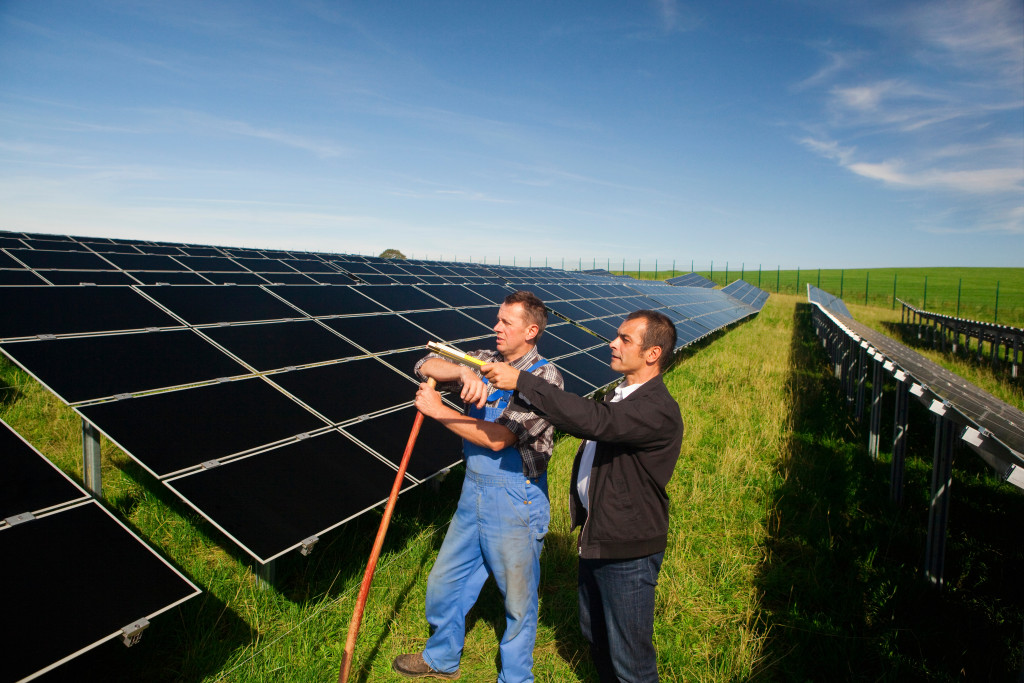 solar panels in a large field