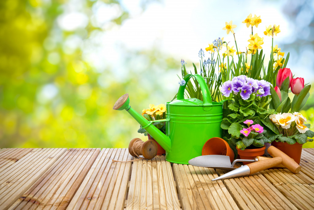 An image of gardening tools