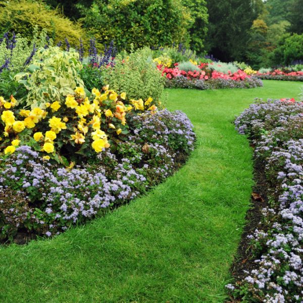 home garden