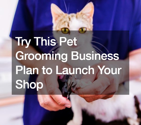 Try This Pet Grooming Business Plan to Launch Your Shop
