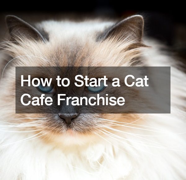 How to Start a Cat Cafe Franchise