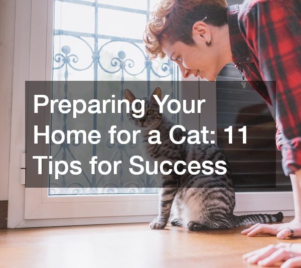 Preparing Your Home for a Cat: 11 Tips for Success