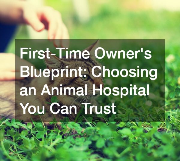 First-Time Owners Blueprint Choosing an Animal Hospital You Can Trust
