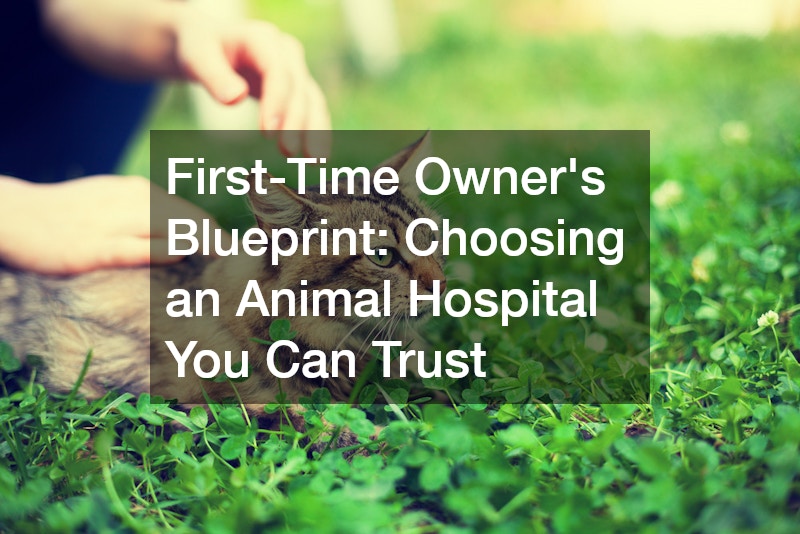 First-Time Owners Blueprint Choosing an Animal Hospital You Can Trust