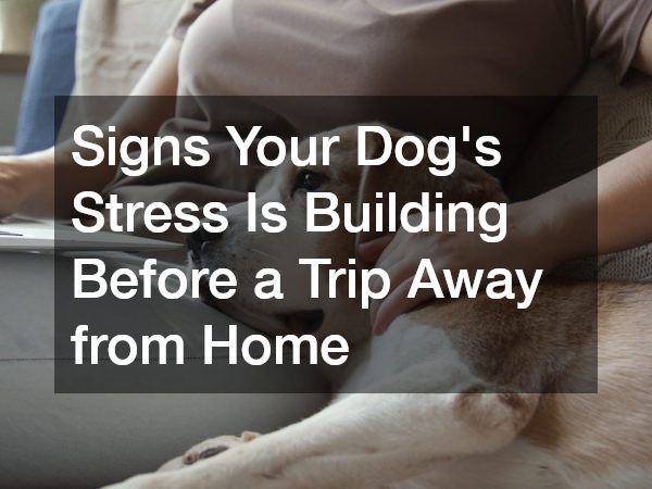 Signs Your Dog’s Stress Is Building Before a Trip Away from Home