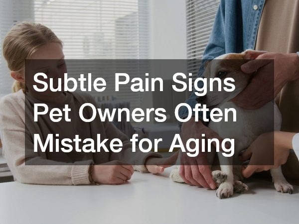 Subtle Pain Signs Pet Owners Often Mistake for Aging