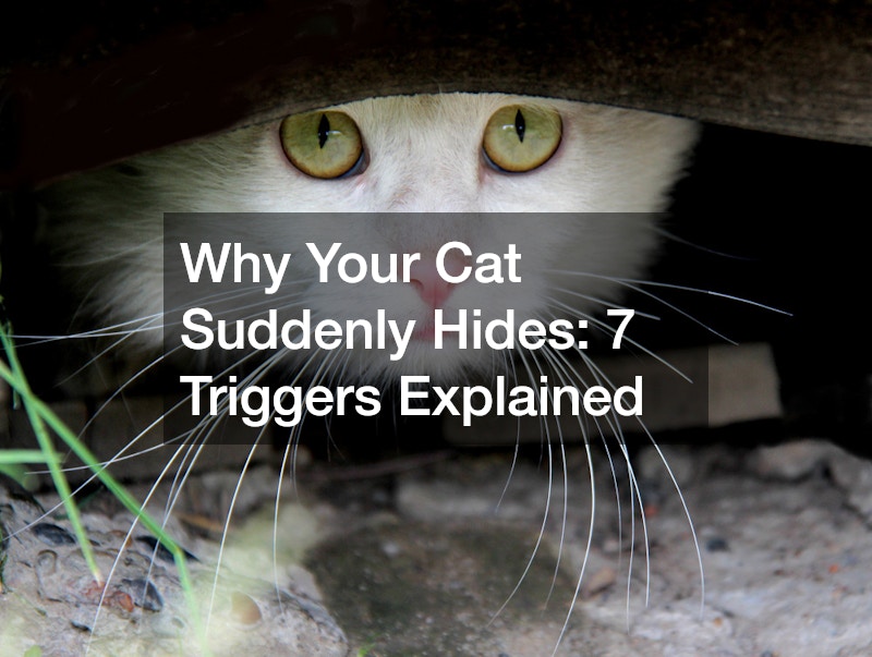 Why Your Cat Suddenly Hides: 7 Triggers Explained