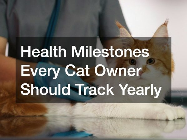 Health Milestones Every Cat Owner Should Track Yearly